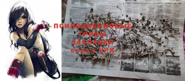 хмурый Алексеевка