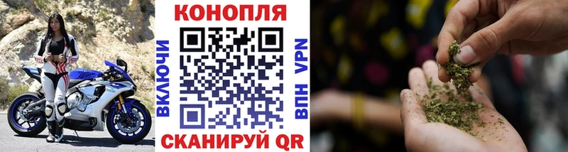 kraken рабочий сайт цена Петровск Канабис тримм